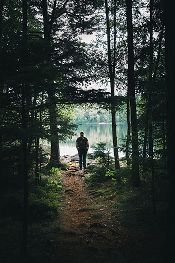 Nature, Trees, Lake, Forest, Human, Person, Tourist HD phone wallpaper