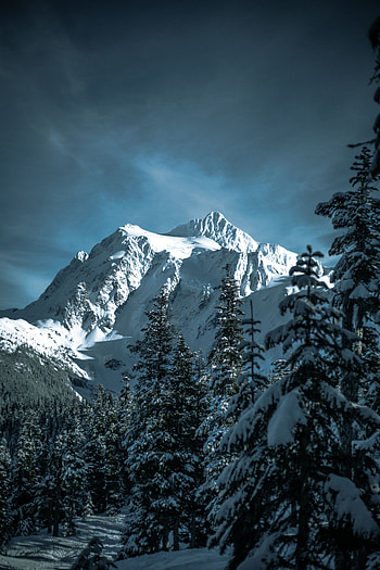 Winter, Nature, Trees, Mountains, Forest, Snow Covered, Snowbound HD phone wallpaper