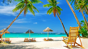 Tropical background , , Ocean paradise, Colorful marine life HD wallpaper