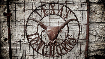 2015 Texas Longhorns Football - Cave HD wallpaper