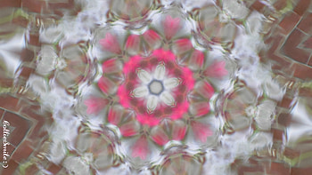 A Flower & Some Bricks, raining, design, rain, flower design, kaleidoscopes too1, rained, pink, kaleidoscope, homemades, bricks, homemade, rains HD wallpaper