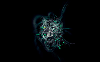 Black Wolf High Quality HD wallpaper
