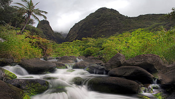 Nature, Rivers, Stones, Mountains, Palm, Flow HD wallpaper