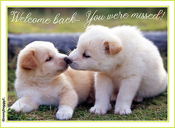 WELCOME BACK, card, comment, Back, WELCOME HD wallpaper
