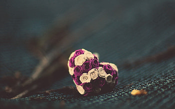 Flowers, Roses, Macro, Surface, Bouquet, Small HD wallpaper