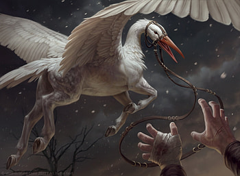 Loyal gryff, wings, bird, art, ilse gort, fantasy, gryff, pasari, griffon HD wallpaper