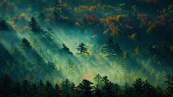 Digital Art, landscape, tree HD wallpaper