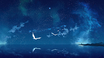 Night Of Universe, birds, sky, artist, artwork, digital-art HD wallpaper