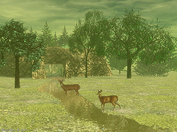 Deers in the meadow, other, deers, fantasy, water HD wallpaper