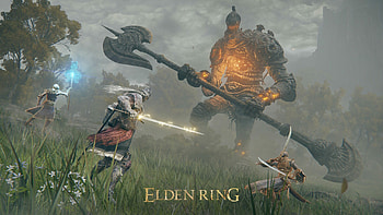Elden Ring delayed, Beta test update, VGC news, Exciting release announcement HD wallpaper