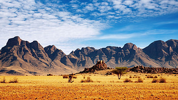 Nature, Mountains, Desert, Bush, Wood, Tree HD wallpaper