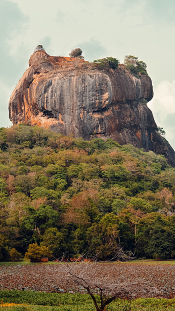 Sigiriya lion rock, Majestic , Ancient citadel, Lion's pride HD phone wallpaper