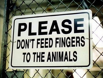 FUNNY SIGN, ANIMALS, SIGN, FUNNY, FINGERS HD wallpaper