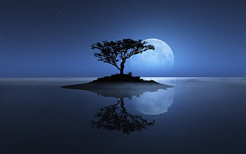 Moon, Landscape, Trees HD wallpaper