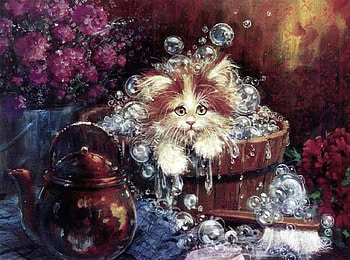Washed Out, wash, bath, tub, soap, cat, bubbles HD wallpaper