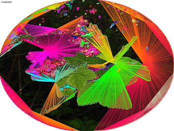 Psychedelic Egg, psychedelic, spiritual, colourist, fantasy HD wallpaper