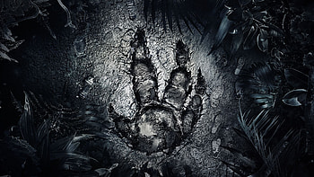 Evolve Fantasy Art, evolve, games HD wallpaper