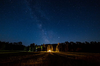 Peaceful starry night sky over a forest with a glowing campfire, highlighting the Milky Way. HD wallpaper