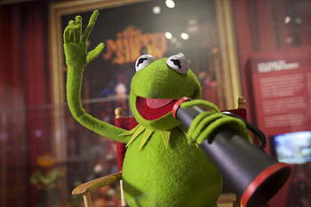 Kermit the Frog, New voice, CNN, Rainbow connection HD wallpaper