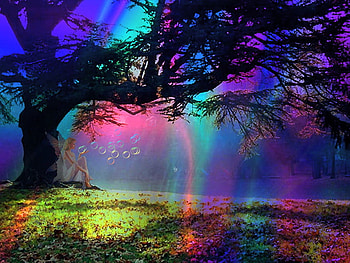 Fairy tree, blue, colors, orange, tree, fairy, purple, pink, green, bubbles, forest HD wallpaper