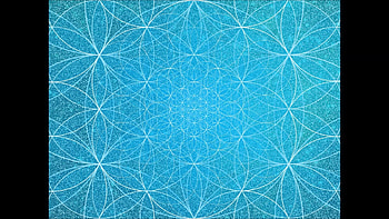 Expressing with flower of life HD wallpaper