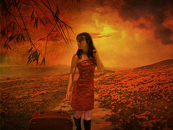 Lost, poppies, luggage, field, girl HD wallpaper