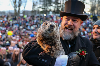 Groundhog Day FAQ, Punxsutawney Phil, Shadow prediction, Groundhog's significance HD wallpaper
