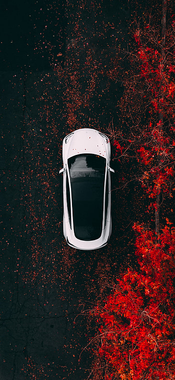 Tesla Model Y, Model 3 HD phone wallpaper