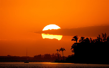 Beach Sunset, palm, landscape, clouds, trees, nature, sunset, beach HD wallpaper