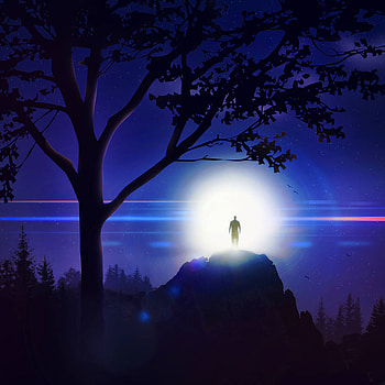 Sky, Art, Night, Shine, Light, Silhouette, Wood, Tree, Hill HD phone wallpaper