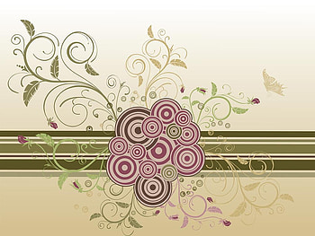 Circles, abstract, butterfly, flower HD wallpaper