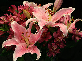 Flowers, Lilies, Alstroemeria, Bouquet HD wallpaper