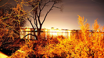night lit up across the arthur kill from staten island, night, kill, lights, town, trees, autumn, water HD wallpaper