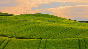 Nature, Pattern, Lines, Field, Hills, Traces HD wallpaper