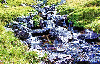 A creek in the mountain, green, grass, clear, water, rocks, pure HD wallpaper