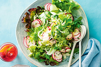 Fennel and radish salad, Refreshing side dish, Vibrant colors, Satisfying crunch HD wallpaper