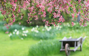 Twigs, hanging, nature, flowers, grass, cart HD wallpaper