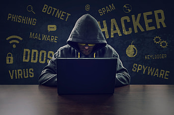 Hacker, terminal, hacker, computer, ubuntu, linux HD wallpaper