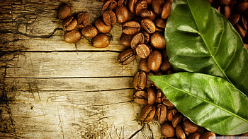 Coffee beans and leaves, , coffee, still life, photgraphy HD wallpaper