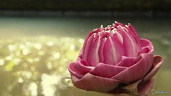 3d art general, 3d art, general HD wallpaper