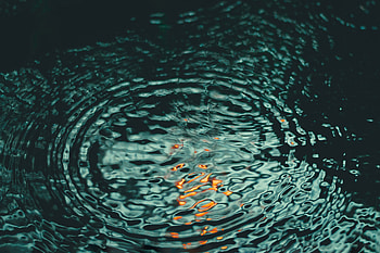 Water, Sea, Macro, Circles, Ripples, Ripple HD wallpaper
