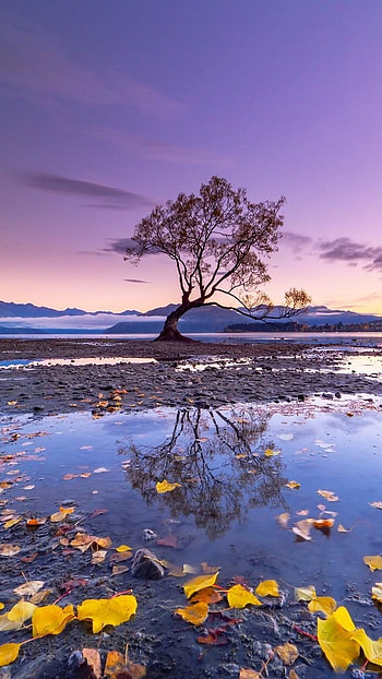 Beautiful Nature, Wonderful Background HD phone wallpaper