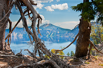 Nature, Trees, Mountains, Usa, United States, Oregon HD wallpaper