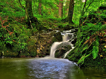 Nature, Waterfall, Vegetation, Austria, Klein-Pöchlarn, Klein-Pehlarn HD wallpaper