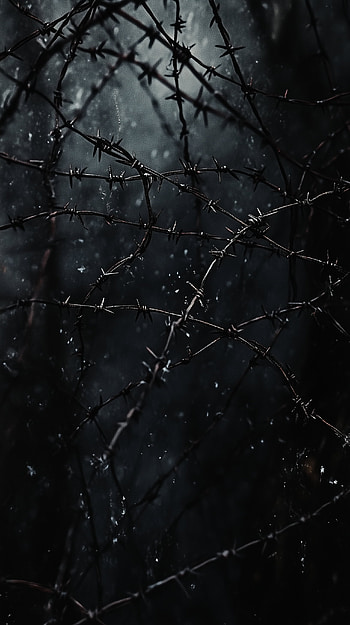 Dark Barbed Wire: A Striking , dark HD phone wallpaper