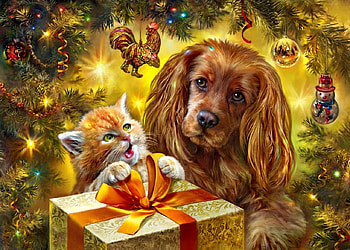 A Present For Me?, dog, ornaments, christmas, present, Cat HD wallpaper