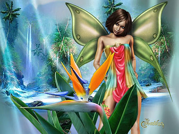 Fairy, abstract, fantasy, flower HD wallpaper