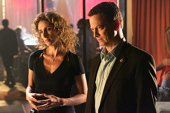 CSI: NY, CSI , Stella & Mac, Gary Sinise HD wallpaper