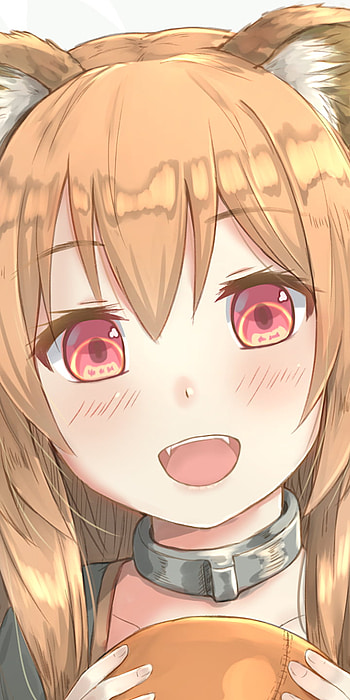smile, Raphtalia (The Rising of the Shield Hero), animal ears, The Rising of the Shield Hero, Anime HD phone wallpaper