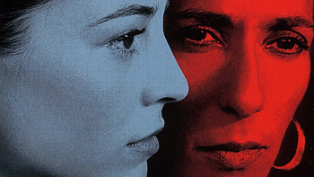 Pedro Almodovar, Hable con ella, Cinema's muse HD wallpaper